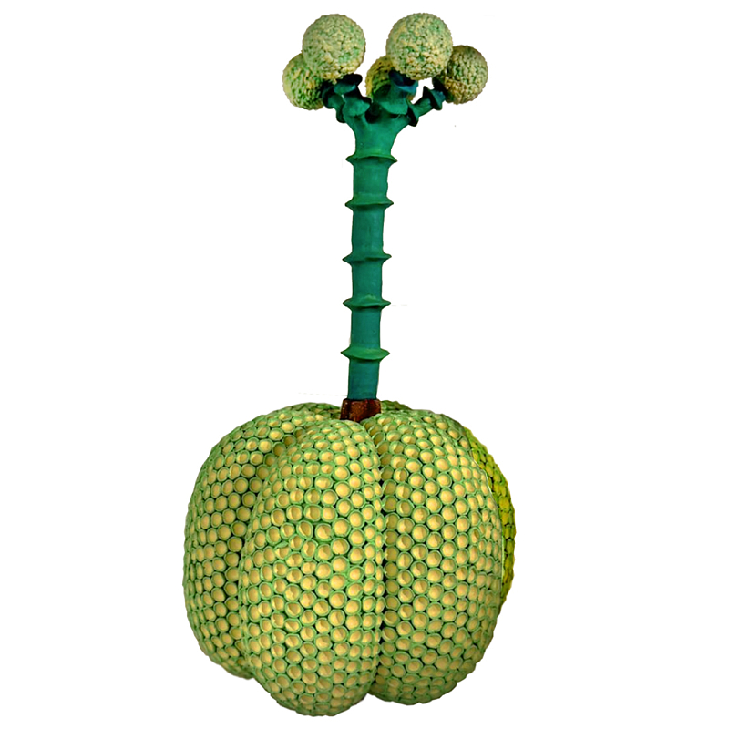 Статуэтка Зеленый тропический фрукт Pandora Tropical Light Green 69 Салатовый Мульти в Москве | Loft Concept 