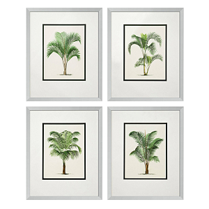 Комплект постеров Eichholtz Prints Palms set of 4