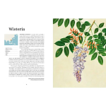 Прекрасно иллюстрированная книга более 100 ботанических произведений Plant Hunters Atlas варинант исполнения - 4 | Loft Concept в Москве