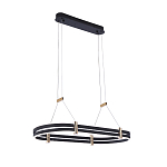 Люстра светодиодная в форме овала из акрила и алюминия с пультом для регулировки света Ring Horizontal Anthracite варинант исполнения - 2 | Loft Concept в Москве