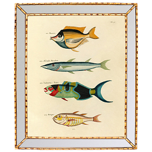 Постер в зеркальной раме Fish Guide 3