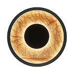 Бра круглое Gold Sun Lighting  варинант исполнения - 1 | Loft Concept в Москве