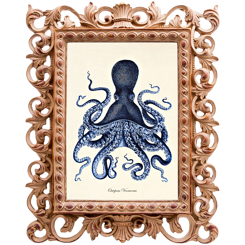  Blue Octopus Poster      | Loft Concept 