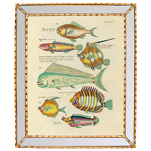 Постер в зеркальной раме Fish Guide 6