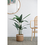 Декоративный искусственное растение Decor Stile  варинант исполнения - 5 | Loft Concept в Москве