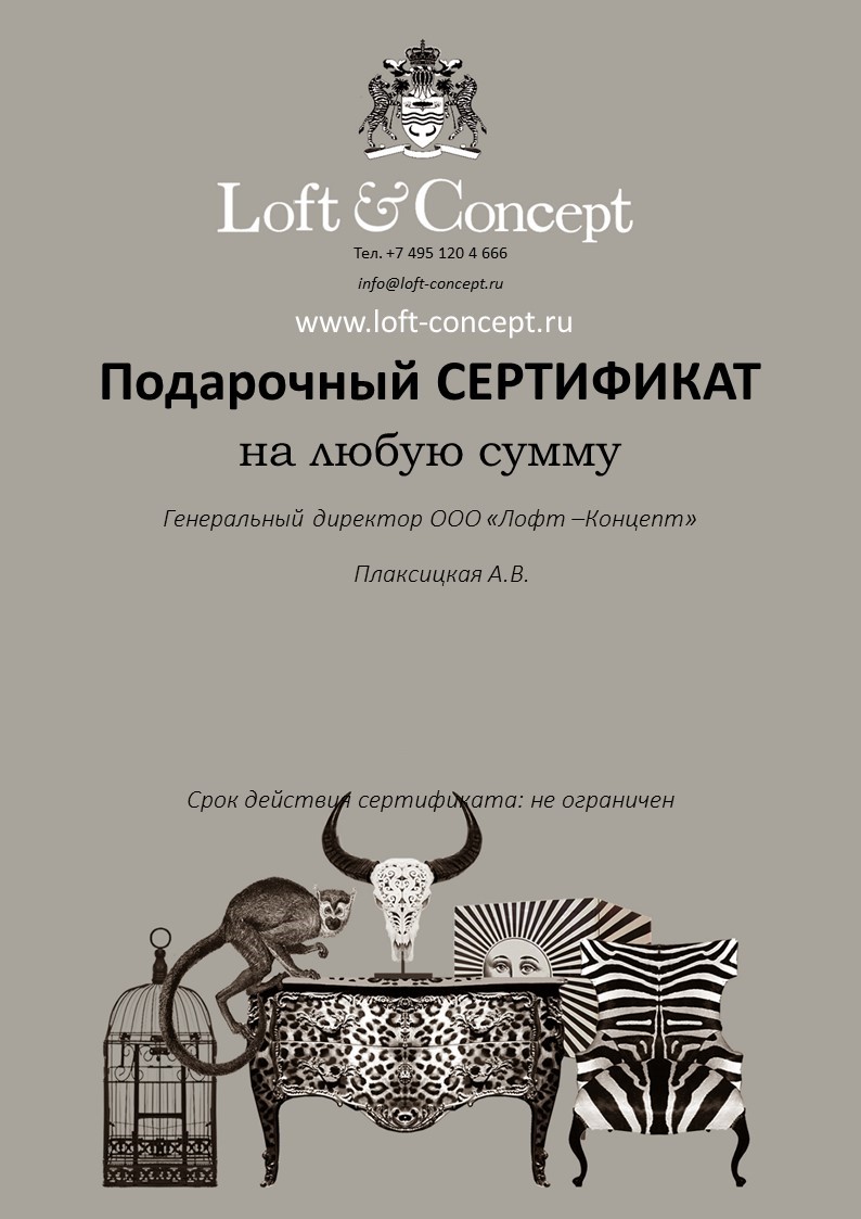     Loft-concept