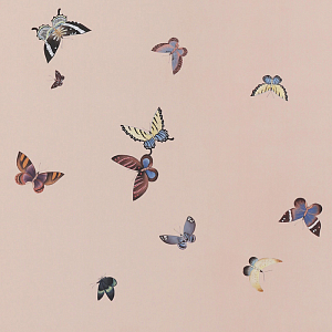 Обои ручная роспись Butterflies Icarus on Gentleman's Pink dyed silk